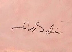 Abdulraheem Salim's signature