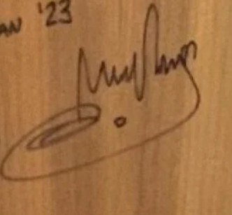 Sultan Al Neyadi's signature