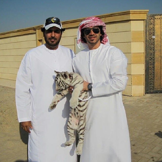 Yunus Saif holding a cub