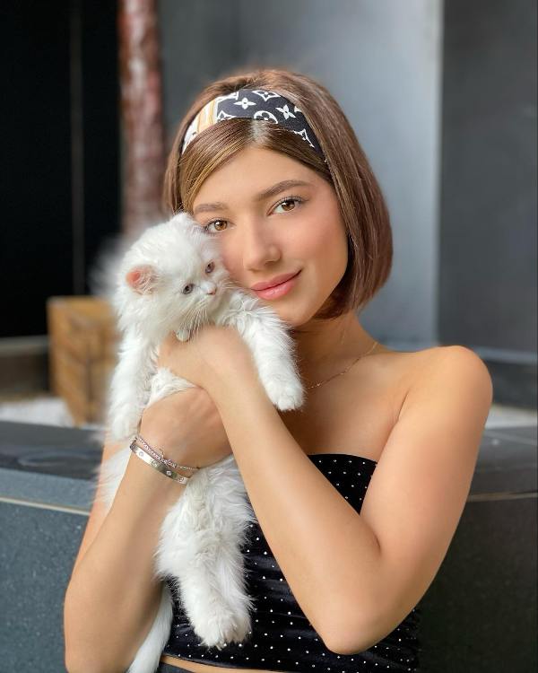 Photo of Narin’s Beauty with a cat
