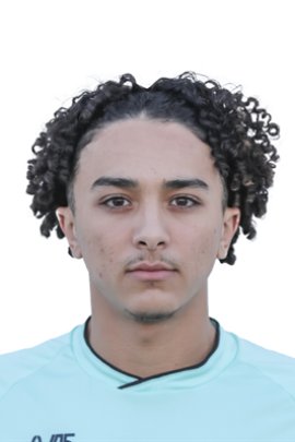 El Mehdi El Khamlich