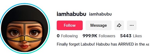 Habubu's TikTok account
