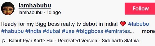 Habubu's TikTok post